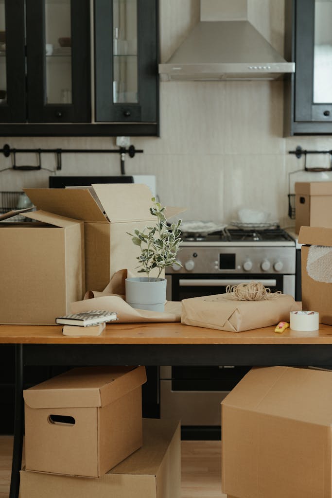 A home kitchen featuring moving boxes, packing materials, and a potted plant on the table.