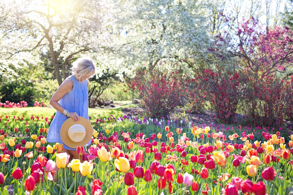 A woman in a blue dress admires colorful tulips in a sunny spring garden.