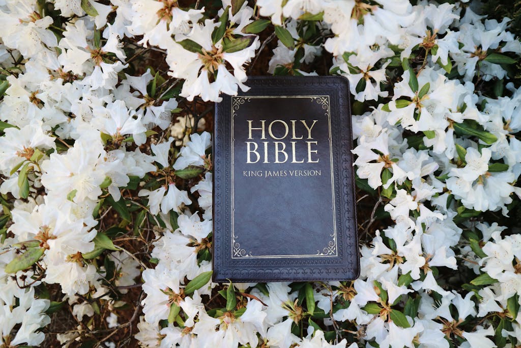 King James Version Bible surrounded by white spring blossoms, symbolizing faith and renewal.